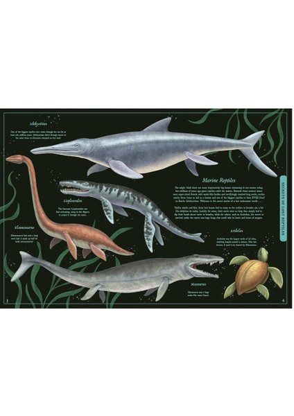 Secret Stories Of Lost Beasts modelleri