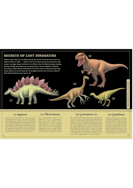 Secret Stories Of Lost Beasts fırsatları