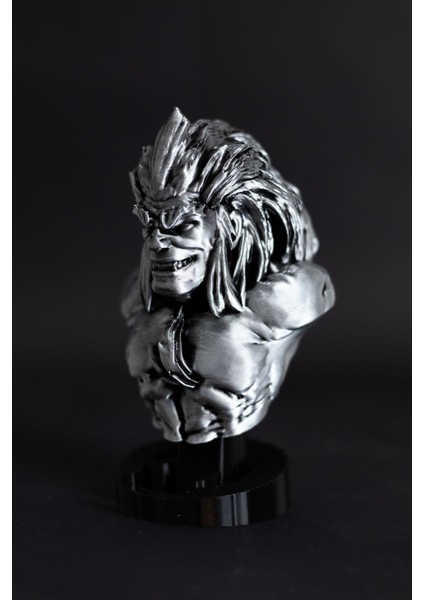 Blanka - Street Fighter - Figür / Büst fiyatları