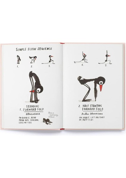 Yoga For Stiff Birds modelleri