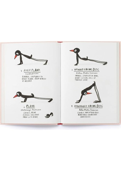 Yoga For Stiff Birds indirimleri