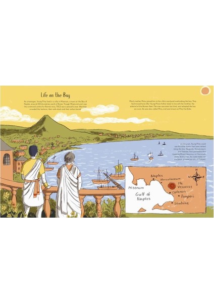 Surviving Vesuvius fiyatları
