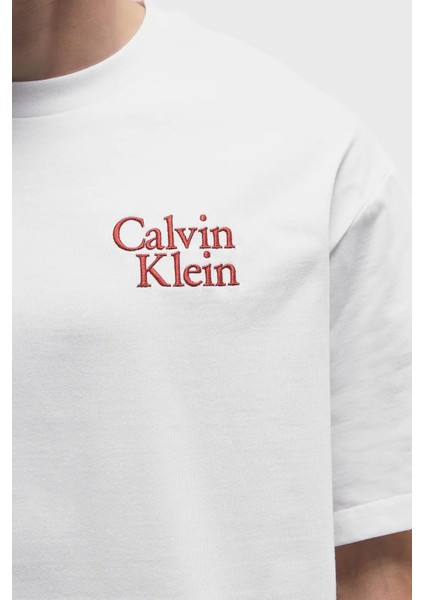 Erkek TIŞÖRT-LV04RC808G fiyatları