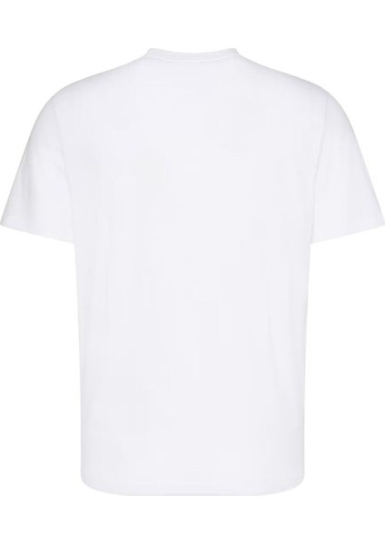 Erkek TIŞÖRT-LV04RC843G fiyatları