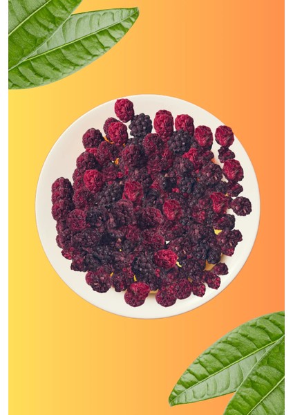 Freeze Dried Dondurularak Kurutulmuş Böğürtlen - 15 gr modelleri