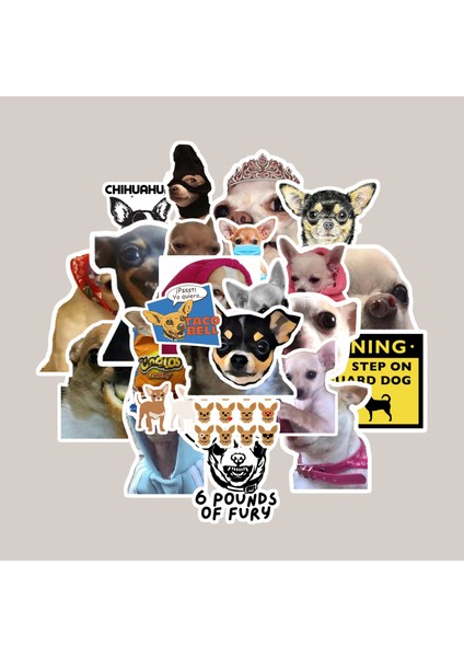 Chihuahuasticker Paketi -Bullet Journal - Ajanda - Planner - Defter - Laptop Etiket Çıkartma Çok Renkli 10 x 15 Paket Boyutu 3 x 5 cm Stickerlar Paket Içeriği 25 Adet Dadi Ramba Sticker fiyatları