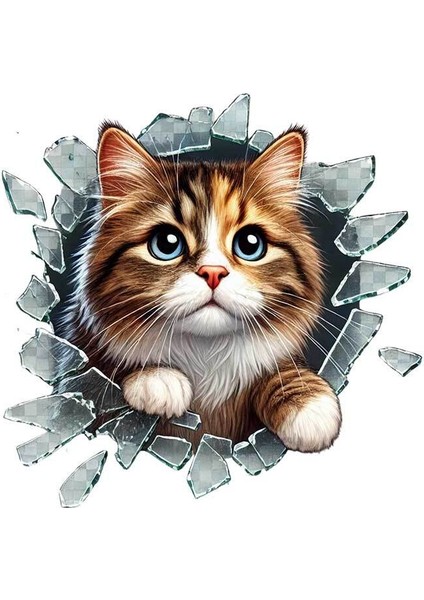 Fulcar Stray Araç Stickerı