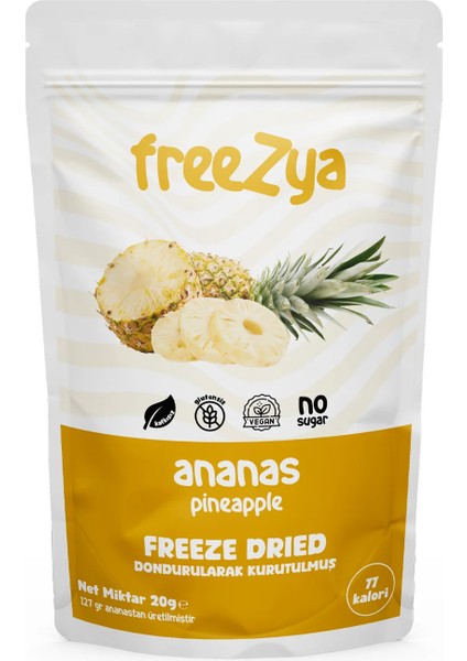Freeze Dried Dondurularak Kurutulmuş Ananas - 20 gr