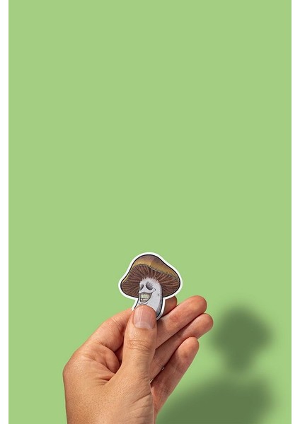 Mushroom Mantar Sticker Paketi /bullet Journal Defter Çıkartma Ajanda Laptop Etiket fiyatları