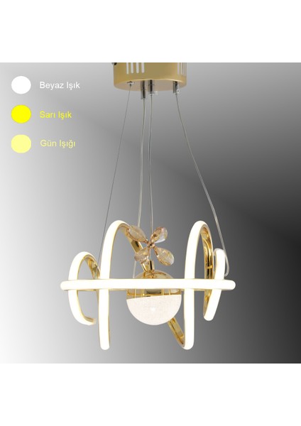 Burgu Tek Toplu LED Gold LED Avize