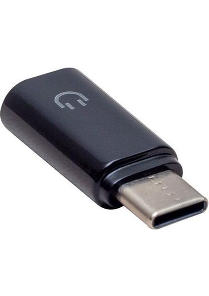 Powermaster KY-195 3.5 mm To Type-C Otg Aparat fiyatları
