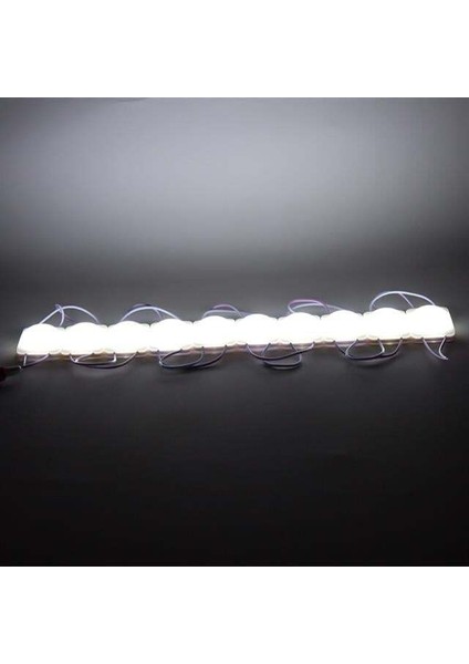 Powermaster 24 Volt 2.8 Watt Beyaz Cob Modül LED fiyatları