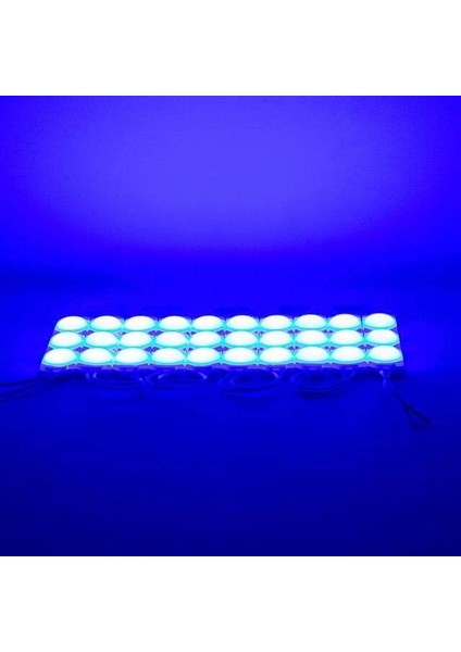 Powermaster 24 Volt 1.5 Watt Mavi 2835 Cob Modül LED fiyatları