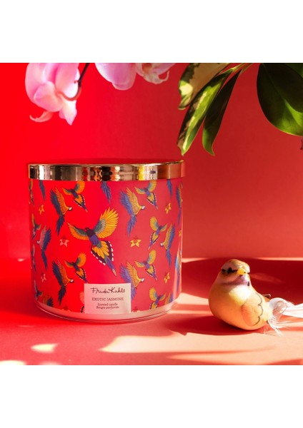 Egzotik Yasemin Kokulu Mum fiyatları
