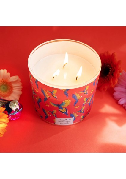 Egzotik Yasemin Kokulu Mum modelleri