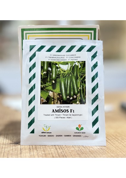 Amisos F1 Sera Hıyarı - Salatalık Hibrit Tohum 500 Adet