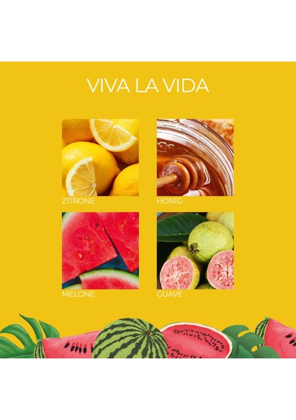 Viva La Vida Kokulu Mum indirimleri