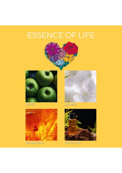 Essence Of Life Kokulu Mum fiyatları