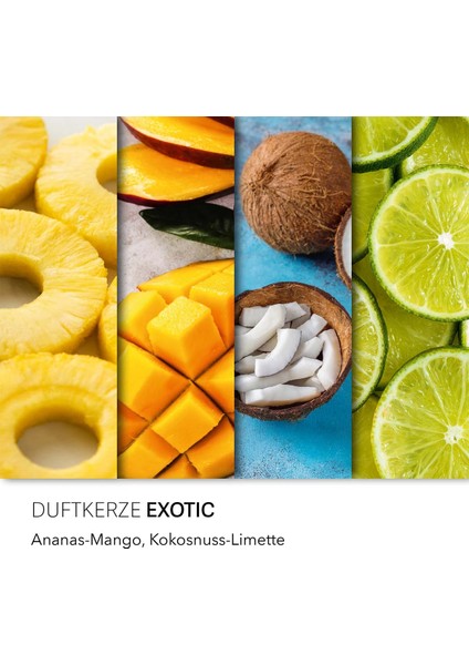 Haribo Exotic Kokulu Mum fiyatları