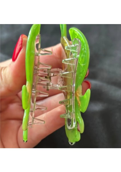 Ladybirdbujiteri Karetta Kaplumbağ Lüks Kemik Mandal Toka