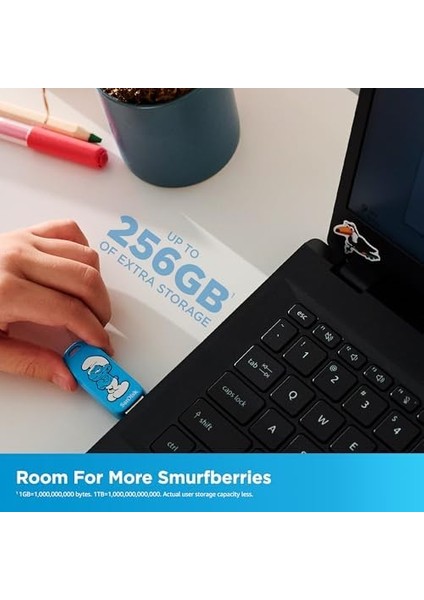 Smurfs USB Flash Disk 256 GB modelleri