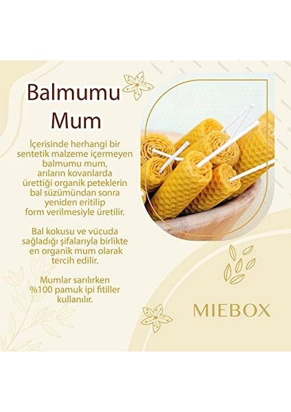 Arınma Seti (1 Adet Palo Santo Tütsü + 2 Adet Balmumu Mum + 1 Demet Adaçayı Tütsüsü) modelleri