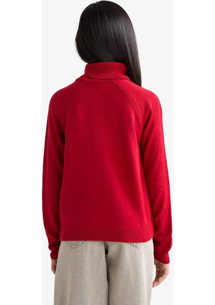 Kız Çocuk Balıkçı Yaka Triko Kazak R1953A625WN