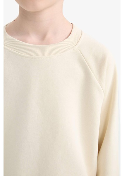 Erkek Çocuk Bisiklet Yaka Basic Düz Okul Sweatshirt E8415A825AU indirimleri