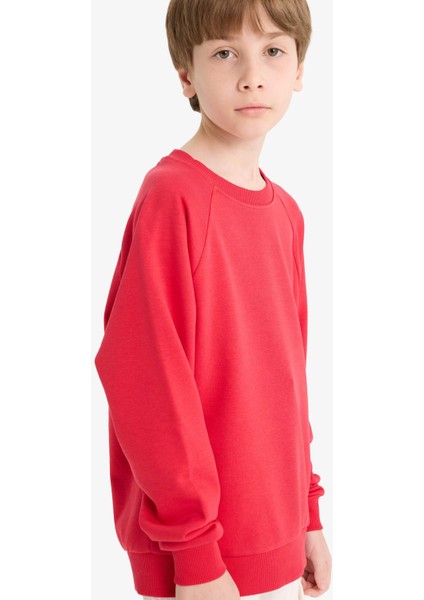 Erkek Çocuk Bisiklet Yaka Basic Düz Okul Sweatshirt E8415A825AU