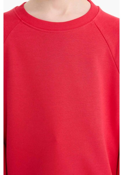 Erkek Çocuk Bisiklet Yaka Basic Düz Okul Sweatshirt E8415A825AU indirimleri