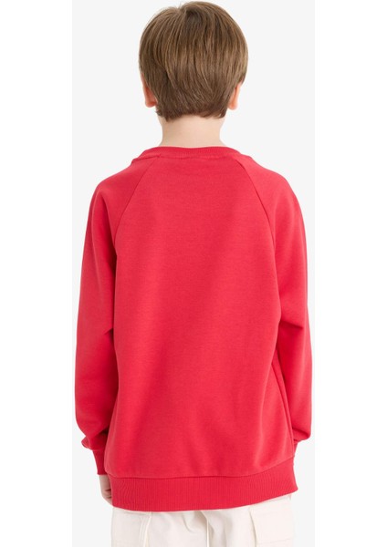 Erkek Çocuk Bisiklet Yaka Basic Düz Okul Sweatshirt E8415A825AU