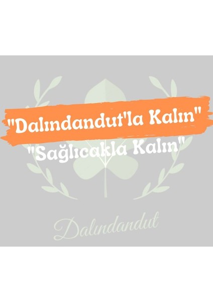 Yeni Mahsül Doğal Çörek Otu (Katkısız) 100 gr fiyatları