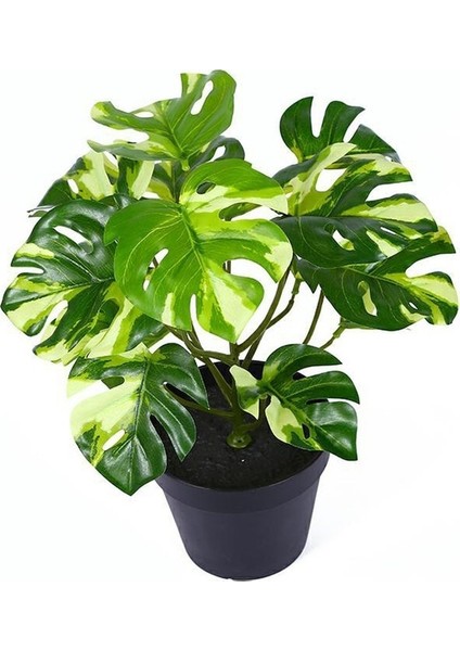 C Yapay Ki Kaplumbağa Geri Yaprakları Yeşil Dereotu Yaprağı Küçük Ki Oturma Odası Ofis Masası Balkon Dekorasyon Ev Bahçe Dekor (Yurt Dışından) fırsatları