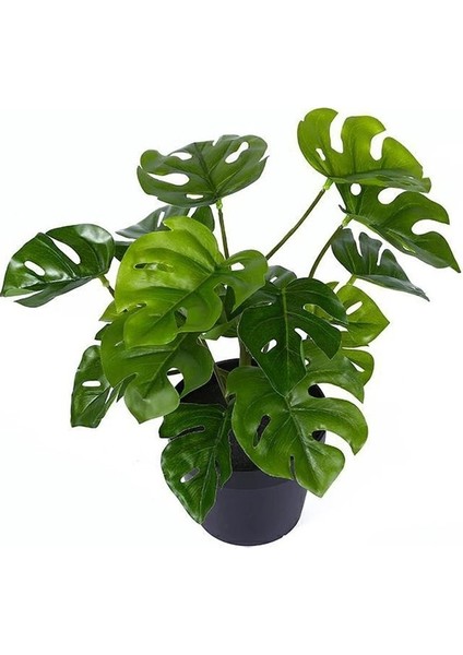 C Yapay Ki Kaplumbağa Geri Yaprakları Yeşil Dereotu Yaprağı Küçük Ki Oturma Odası Ofis Masası Balkon Dekorasyon Ev Bahçe Dekor (Yurt Dışından) indirimleri