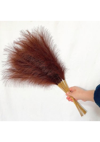 Kahverengi 55 cm 10PCS 5/10/20PCS 55 cm Yapay Pampas Çim Görkemli Çim Vazo Dolgu Çiçek Ev, Oturma Odası, Mutfak, Parti, Boho Dekor Için (Yurt Dışından)