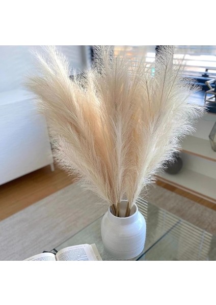 Kahverengi 55 cm 10PCS 5/10/20PCS 55 cm Yapay Pampas Çim Görkemli Çim Vazo Dolgu Çiçek Ev, Oturma Odası, Mutfak, Parti, Boho Dekor Için (Yurt Dışından) fırsatları