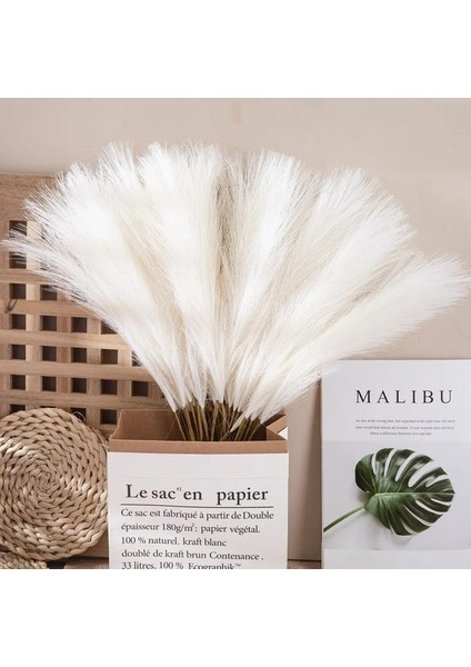 Kahverengi 55 cm 10PCS 5/10/20PCS 55 cm Yapay Pampas Çim Görkemli Çim Vazo Dolgu Çiçek Ev, Oturma Odası, Mutfak, Parti, Boho Dekor Için (Yurt Dışından) indirimleri