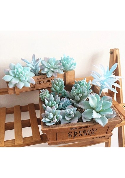 Mini Ling Jiao Cao Mavi Akın Yapay Succulents Kiler Çiçek Aranjmanı Aksesuarları Masaüstü Bonsai Ev Bahçe Dekorasyon Kiler (Yurt Dışından) fiyatları