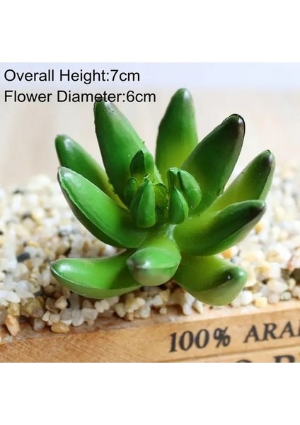 Darkgreen x Ianrenzhi 39STYLES Yeşil Yapay Sulu Meyveler Kiler Ev Bahçe Düğün Doğum Günü Partisi Noel Cadılar Bayramı Dekorasyon Kiler Bonsai (Yurt Dışından)