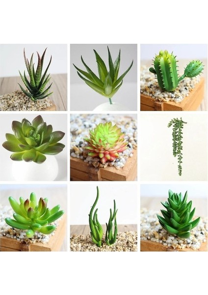 Darkgreen x Ianrenzhi 39STYLES Yeşil Yapay Sulu Meyveler Kiler Ev Bahçe Düğün Doğum Günü Partisi Noel Cadılar Bayramı Dekorasyon Kiler Bonsai (Yurt Dışından) fiyatları