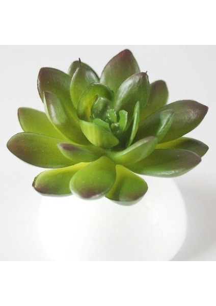 Darkgreen x Ianrenzhi 39STYLES Yeşil Yapay Sulu Meyveler Kiler Ev Bahçe Düğün Doğum Günü Partisi Noel Cadılar Bayramı Dekorasyon Kiler Bonsai (Yurt Dışından) fırsatları