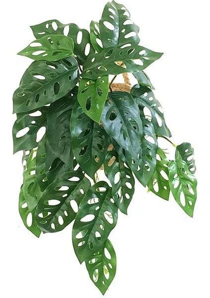 26 cm B 26 cm Yapay Yeşil Kiler Plastik Mini Sarmaşıklar Çiçek Düğün Dekorasyon Peyzaj Otel Ofis Mağaza Ev Deco Accessori (Yurt Dışından) fiyatları