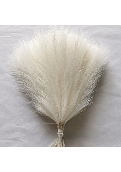 Siyah 20 Adet 10/20 Adet Yapay Pampas Çim Buketi Ev Yatak Odası Düğün Parti Dekorasyon Ki Simülasyon Kurutulmuş Çiçek Kamış (Yurt Dışından) modelleri