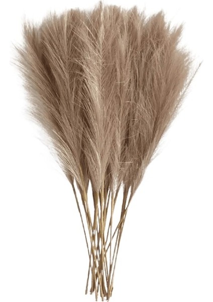 6 Adet Yapay Pampas Çim Dekor Çiçekler Dıy Çiçek Masa Düzenlemek Ki Kamış Çiçek Düğün Ev Noel Dekorasyon Kahve / Boyut6 Adet Paket (Yurt Dışından)