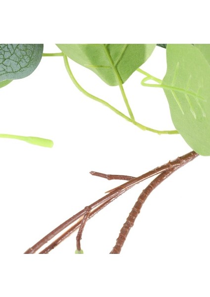 Yapay Okaliptüs Çelenk Asma Ki Yaprakları ile Gümüş Dolar Yeşillik Düğün Dış Dekorasyon Için (Yurt Dışından) indirimleri