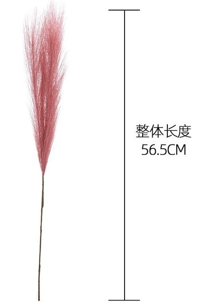 Gri 1pc 1/5/10/20PCS 55 cm Mini Pampas Çim Yapay Görkemli Çim Vazo Dolgu Çiçek Ev Oturma Odası Mutfak Düğün Boho Dekor (Yurt Dışından) fırsatları