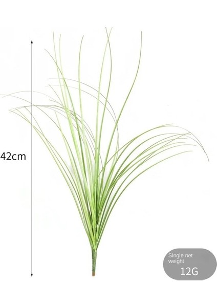35---Qian Yeşillik Ev Dekorasyon Simülasyon Tek Karahindiba Kapalı Simülasyon Ki Duvar Simülasyonu Yeşil Soğan Açık Dekor (Yurt Dışından) modelleri