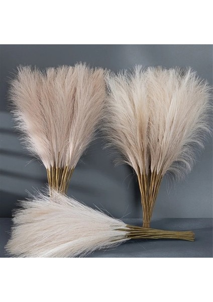 Gri 5pcs 55 cm 5/10/20PCS Kabarık Pampas Çim Boho Dekor Çiçek Ki Kamış Simüle Düğün Parti Ev Dekorasyon Yapay Çiçekler (Yurt Dışından) fırsatları