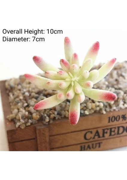 Zrg x Iaofoshouzhi 39 Stilleri Yeşil Yapay Succulents Kiler Dıy Saksısız Küçük Bonsai Ev Bahçe Masaüstü Masa Parti Dekorasyon Kiler (Yurt Dışından)