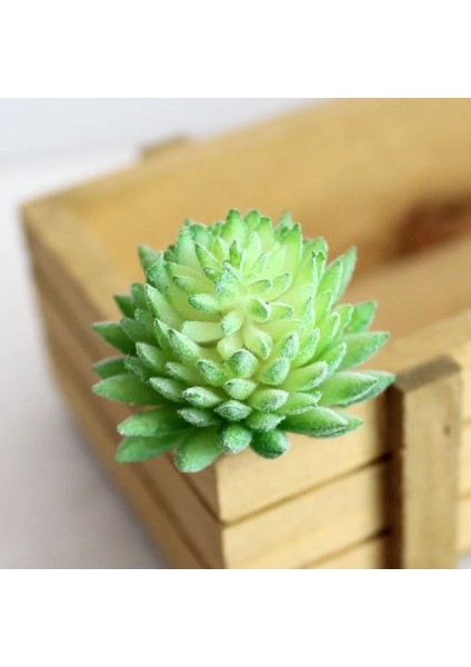Zrg x Iaofoshouzhi 39 Stilleri Yeşil Yapay Succulents Kiler Dıy Saksısız Küçük Bonsai Ev Bahçe Masaüstü Masa Parti Dekorasyon Kiler (Yurt Dışından) modelleri